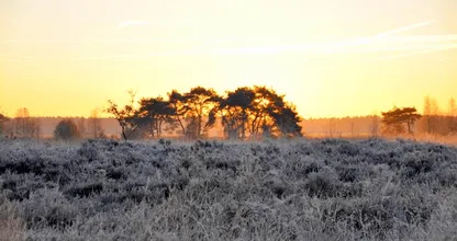Morgen wordt het een onvervalste winterdag, maar pas op: code geel!