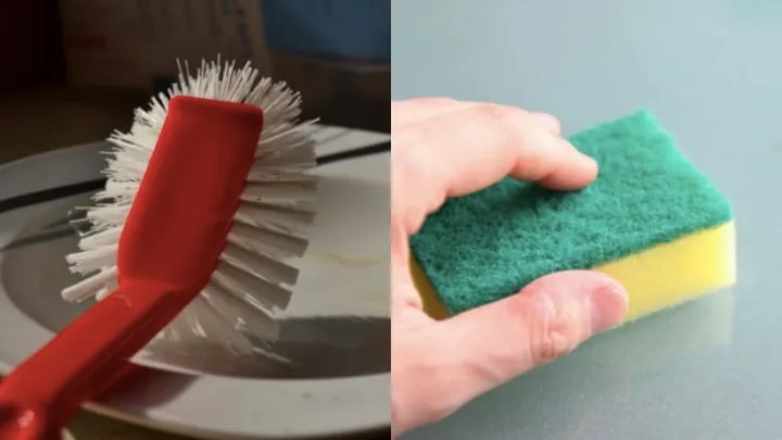 Dish brush vs. sponge: what's the better option? We've got the answer!