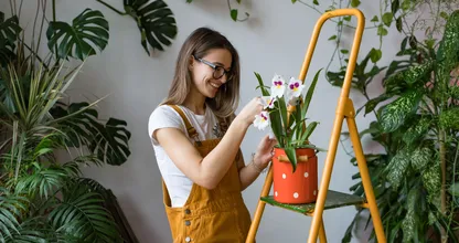 Groeit je orchidee alleen bladeren en wortels? Zo krijg je haar eindelijk weer in bloei