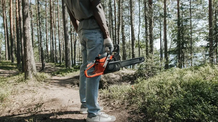 Holzfäller finden seltsame Kreatur in hohlem Baum