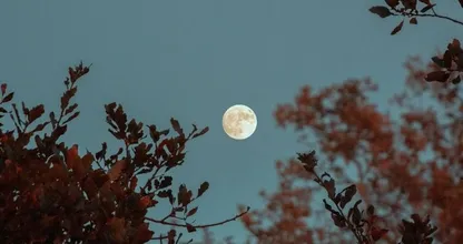 Deze maand is het 'blauwe maan': wat betekent dat precies?