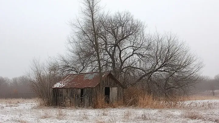 This Elderly Man Lives In an Old Shed - Don't Judge Until You See The Interior!