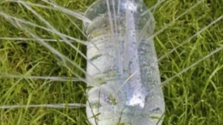 Faites-vous usage de bouteilles en plastique chez vous ? Vous ne devinerez jamais ce que vous pouvez faire avec !