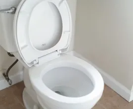 Aha! Blijkbaar vergeten we dit onderdeel van het toilet altijd schoon te maken