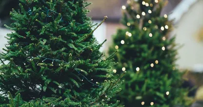 De prijs van kunstkerstbomen is dit jaar flink gestegen