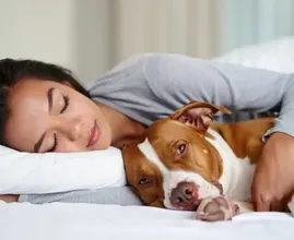 Woman Thought She Could Sleep Safely With Her Pet Dog Every Night, Until The Vet Showed Her The Startling Truth