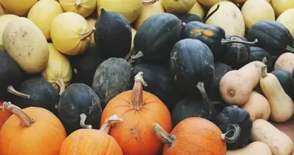 Porque é que se deve comer abóboras todos os dias!