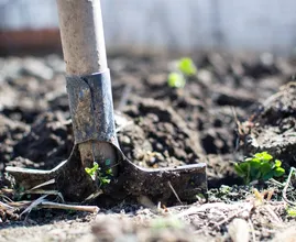Morgen prachtig weer: ideaal om in de tuin te werken