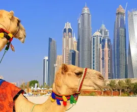 47 Gekke dingen die je alleen in Dubai vindt