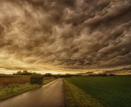 Bomen op het spoor en veel schade: dit richtte storm Eunice vrijdag aan