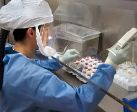Zeldzaam apenpokkenvirus rukt op in Europa