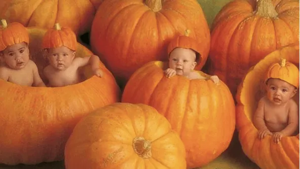 Zo zien de beroemde baby's van Anne Geddes er nu uit!