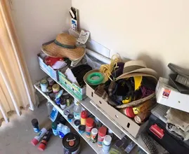 Suchbild: entdeckst du die Python auf diesem Foto?