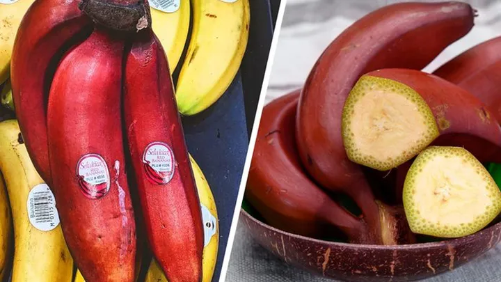Sie haben vielleicht noch nie von diesen 20 ungewöhnlichen Früchten gehört