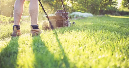 Goed om te weten: mag je gras al maaien in februari?
