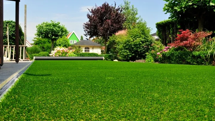 WAARSCHUWING: niet gaan grasmaaien vandaag! Lees hier hoe je je tuin wél de hittegolf doorhelpt!