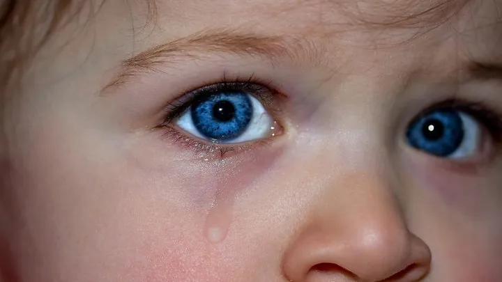School van overleden kinderen treindrama Oss plaatst emotionele rouwadvertentie