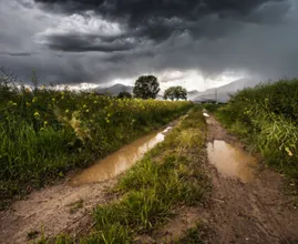 Code geel: onweersbuien en hagel verwacht vandaag