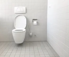 Apparently, it is very good to put a clove of garlic in your toilet