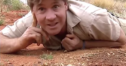 Dit is hoe het nu gaat met de familie van Steve Irwin