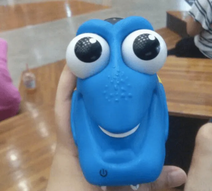 dory