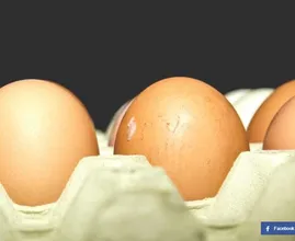Vitamin B12 Mangel? Dann solltest du diese Lebensmittel öfter essen.