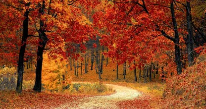 Dankzij warme herfst besparen we zo’n 7 euro per dag