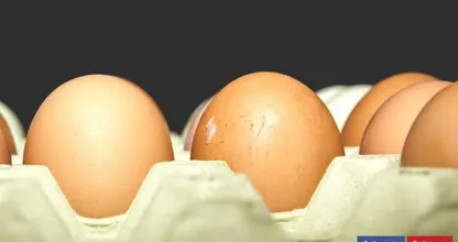 Vitamin B12 Mangel? Dann solltest du diese Lebensmittel öfter essen.