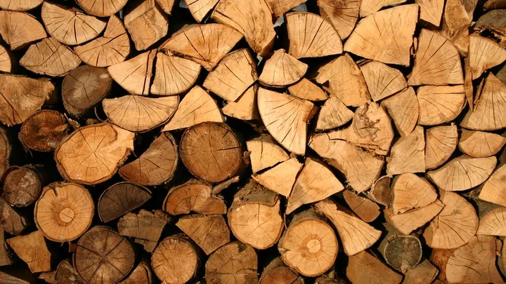 Holzfäller finden seltsame Kreatur in hohlem Baum