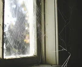 No more spiders and webs? This will help you out!