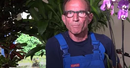 Dit wil je zien: Rob Verlinden heeft opvallende nieuwe look