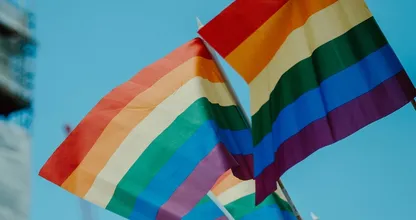 'Antihomoverklaring' nog altijd populair bij streng Christelijke scholen
