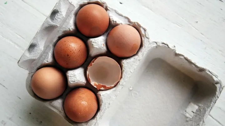 5 reasons to never throw out eggshells again