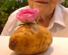 Unbelievable! An 85-Year-Old Woman Discovers a Simple Trick to Grow Beautiful Flowers