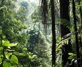 VN-akkoord over biodiversiteit