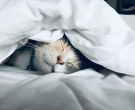 Ecco il segreto per dormire bene