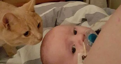 Deze kat weigert de zijde van een doodzieke baby te verlaten.... Wij smelten, zó lief dit!