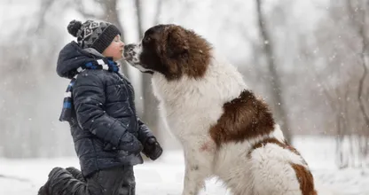 Deze fotoserie moet je hebben gezien: "Kleine kinderen en hun grote honden!"