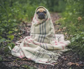 Find out why being cold can actually be good for you