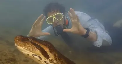 This Man Found A Giant Snake - He Couldn't Understand What Was Inside This Snake!