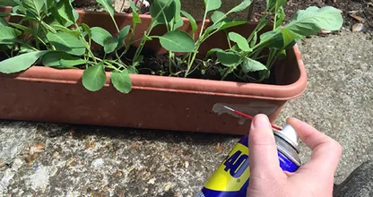 ¿Ya conoces este aerosol azul? Se llama WD-40. ¡Es nada menos que un milagro envasado en una lata!