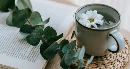 How to: je eigen theetuin maken met kruiden