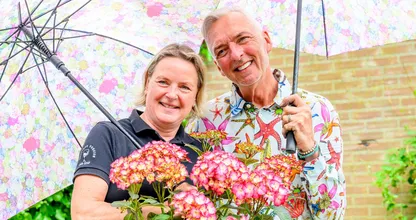 Meilandjes verlagen verkoopprijs van pension Code Rosé