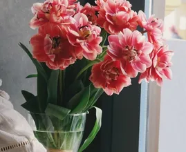 Door deze fout kan een bos bloemen sneller verwelken