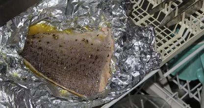 She put uncooked salmon in her dishwasher, the result will blow you away