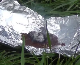 Light some coffee on fire during your barbecue tonight and see what happens! Genius!