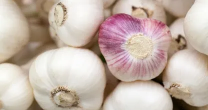 Ecco perché dovresti dormire con uno spicchio d'aglio sotto il cuscino