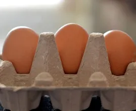 ¿Estás botando los cartones y las cáscaras de huevo? Es una lástima. Puedes hacer mucho con esos.