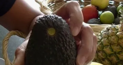 Wie du mit einem Handgriff ganz einfach testen kannst ob die Avokado lecker sein wird oder nicht