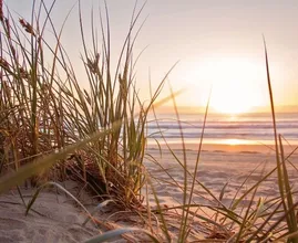 Opgelet! Tóch nog een beetje zomer dit weekend